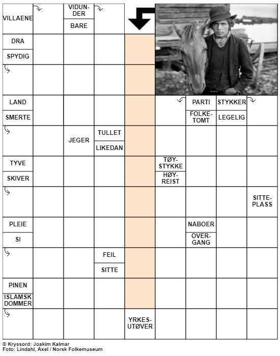 Dagens kryssord – 10. November- 2020