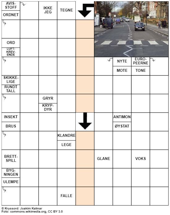 Dagens kryssord – 13. November- 2020