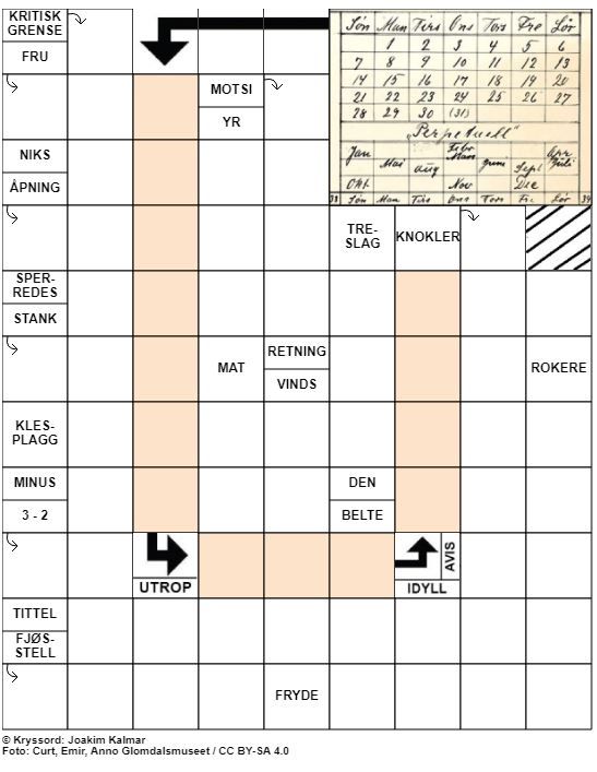 Dagens kryssord – 17. November- 2020