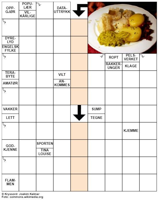 Dagens kryssord – 28. November- 2020