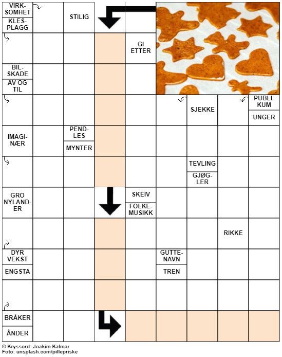 Dagens kryssord – 30. November- 2020