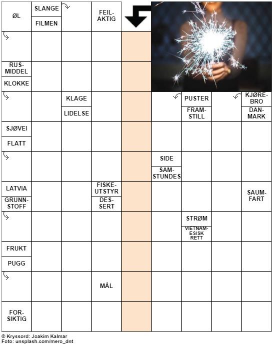 Dagens kryssord – 1. Januar - 2021