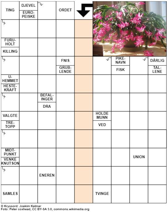 Dagens kryssord – 26. Desember - 2020