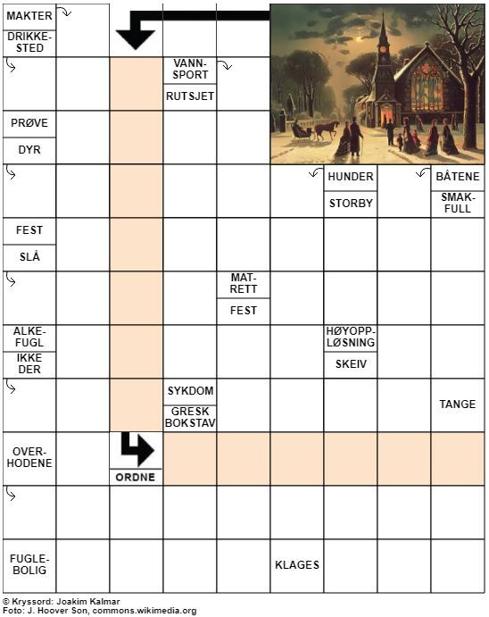 Dagens kryssord – 29. Desember - 2020