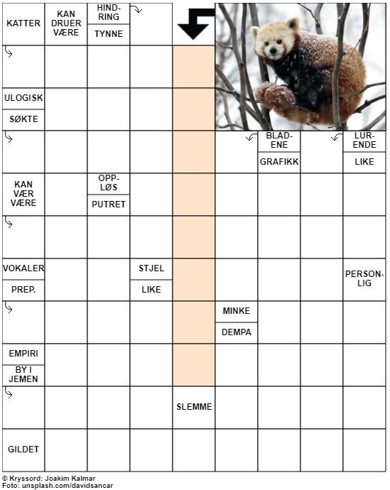 Dagens kryssord – 1. Februar - 2021