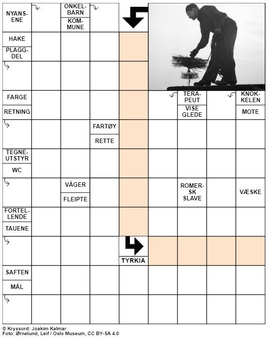 Dagens kryssord – 4. Januar - 2021