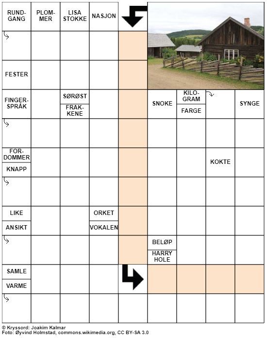 Dagens kryssord – 12. Januar - 2021