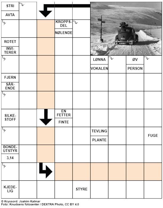 Dagens kryssord – 13. Januar - 2021