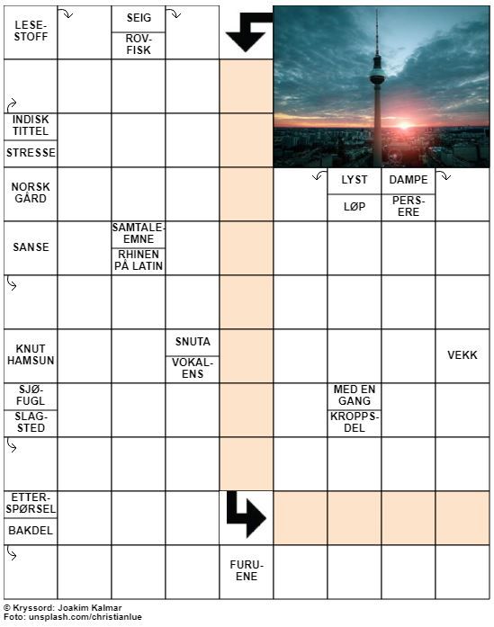Dagens kryssord – 16. Januar - 2021