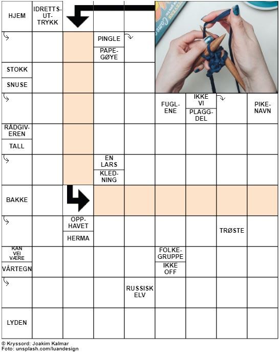 Dagens kryssord – 17. Januar - 2021