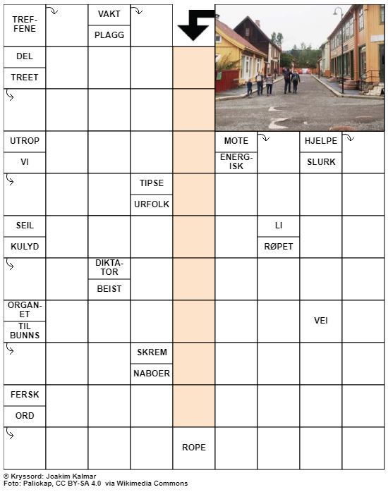 Dagens kryssord – 19. Januar - 2021
