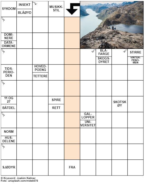 Dagens kryssord – 23. Januar - 2021