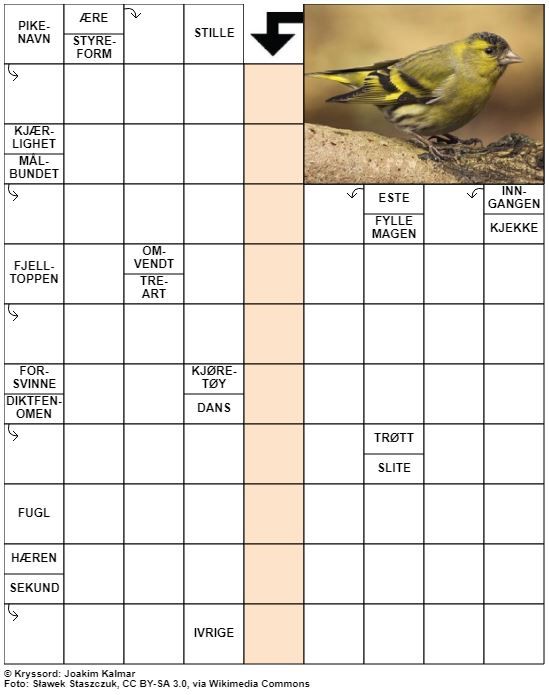 Dagens kryssord – 24. Januar - 2021