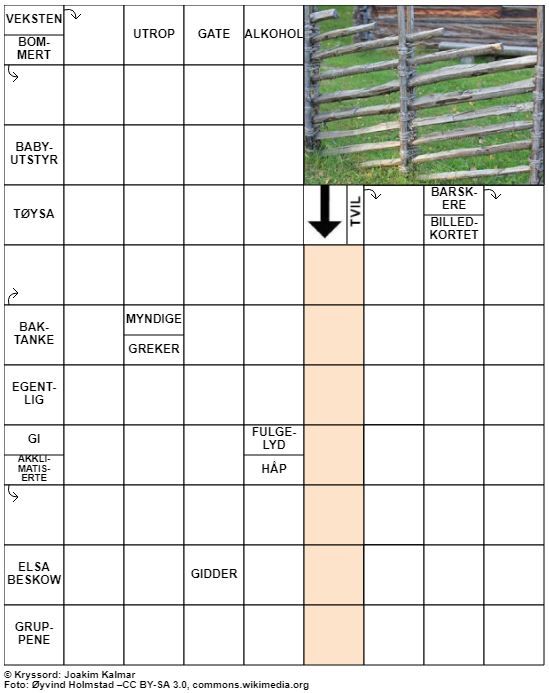 Dagens kryssord – 31. Januar - 2021