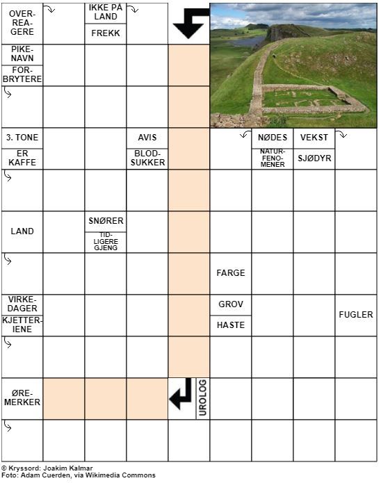 Dagens kryssord – 13. Februar - 2021