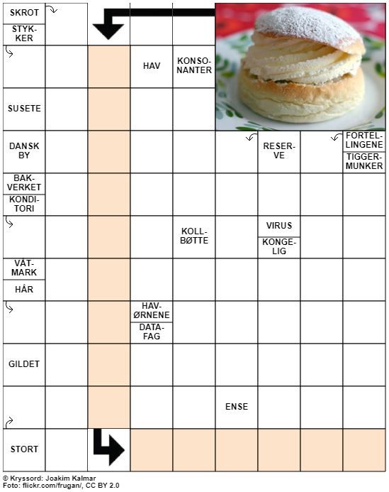 Dagens kryssord – 15. Februar - 2021
