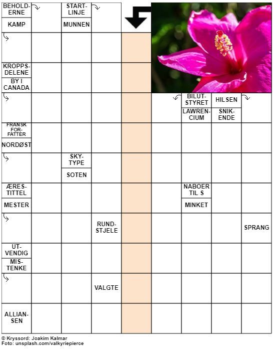 Dagens kryssord – 18. Februar - 2021