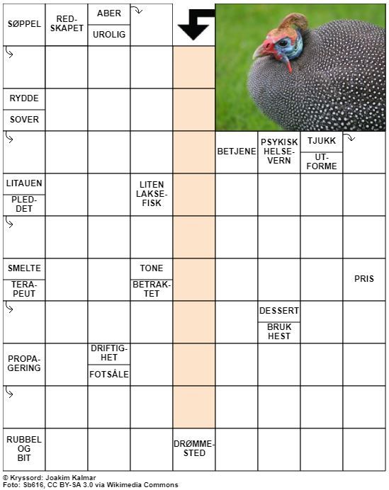 Dagens kryssord – 19. Februar - 2021