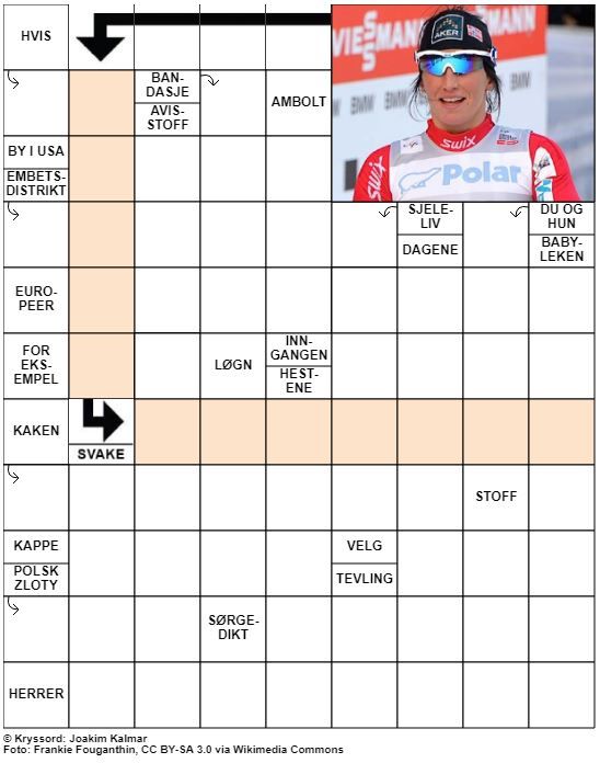 Dagens kryssord – 6. Mars - 2021