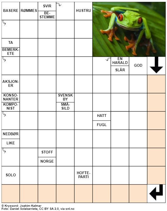 Dagens kryssord – 8. Mars - 2021