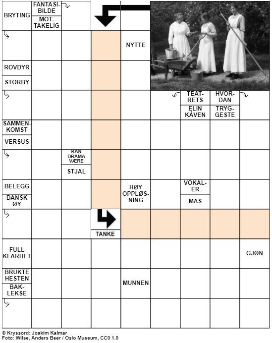 Dagens kryssord – 9. Mars - 2021