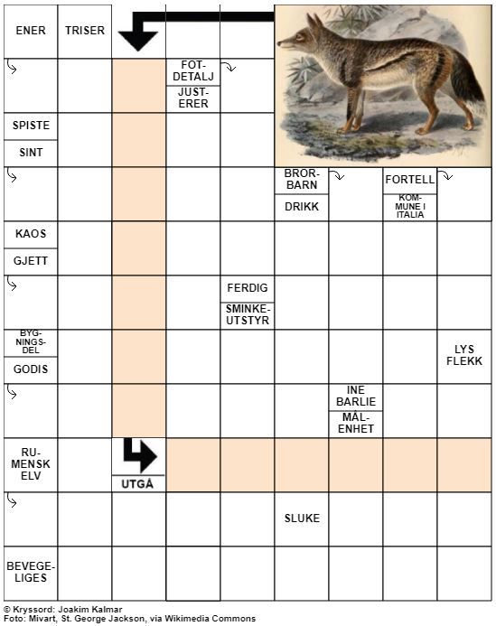 Dagens kryssord – 12. Mars - 2021