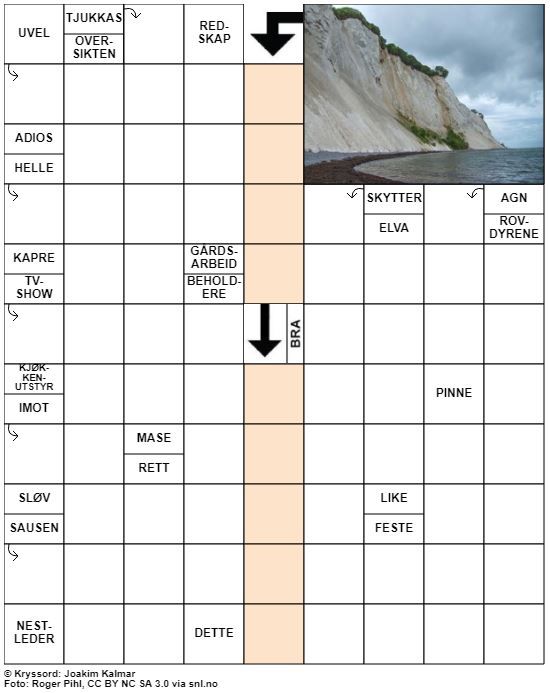Dagens kryssord – 17. Mars - 2021