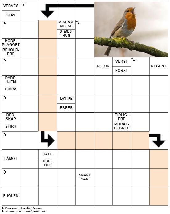 Dagens kryssord – 19. Mars - 2021