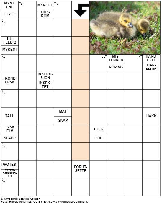 Dagens kryssord – 27. Mars - 2021