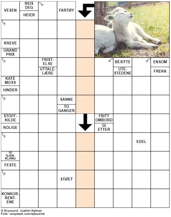 Dagens kryssord – 30. Mars - 2021