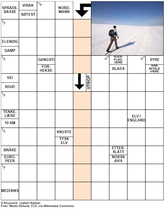 Dagens kryssord – 31. Mars - 2021