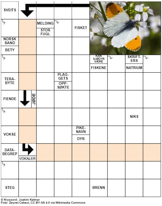 Dagens kryssord – 8. April - 2021