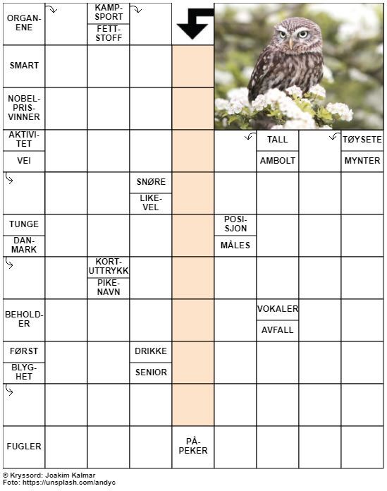 Dagens kryssord – 11. April - 2021
