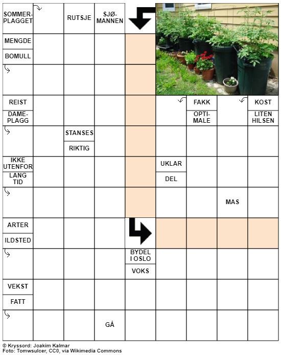Dagens kryssord – 14. April - 2021