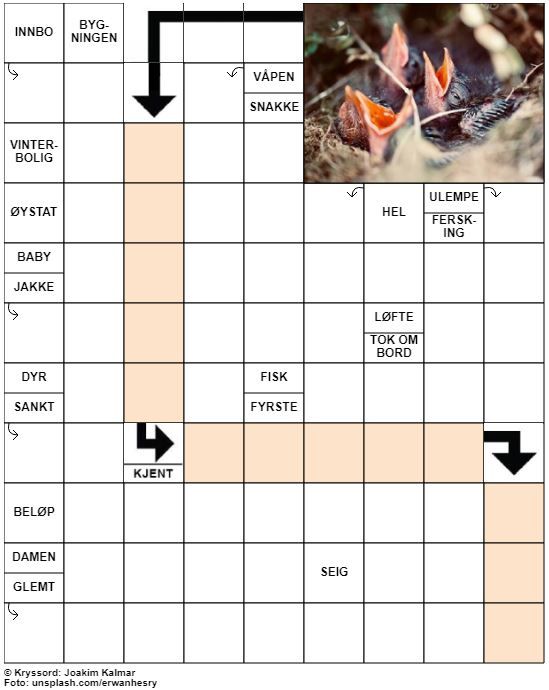 Dagens kryssord – 17. April - 2021