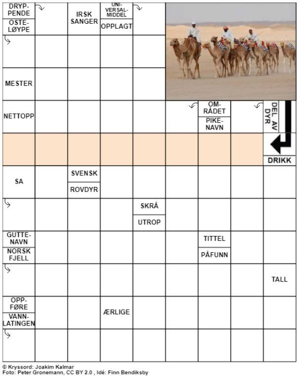 Dagens kryssord – 21. April - 2021