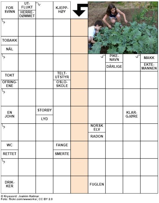 Dagens kryssord – 23. April - 2021