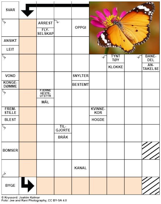 Dagens kryssord – 3. Mai- 2021