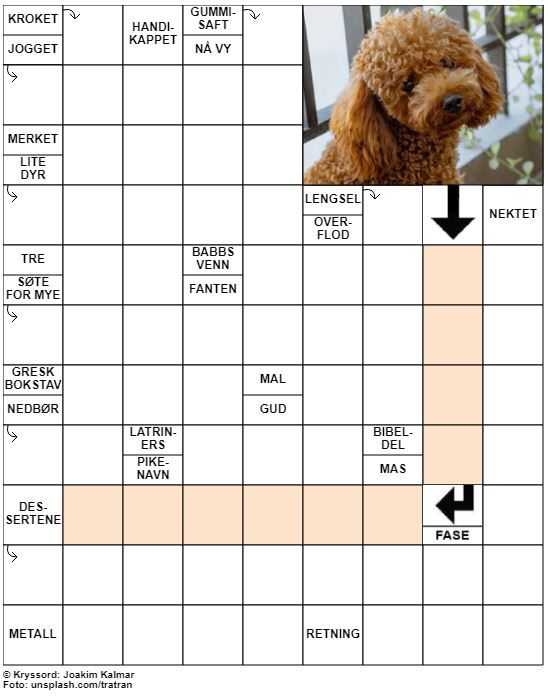Dagens kryssord – 4. Mai- 2021