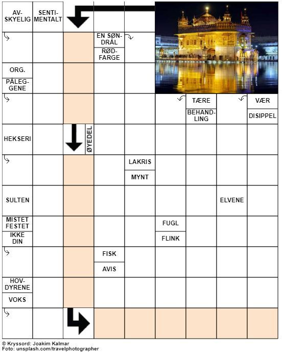 Dagens kryssord – 7. Mai- 2021