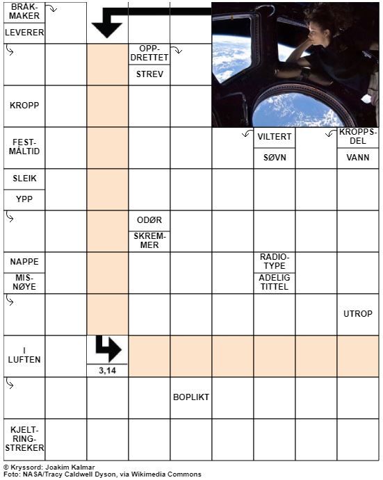 Dagens kryssord – 8. Mai- 2021