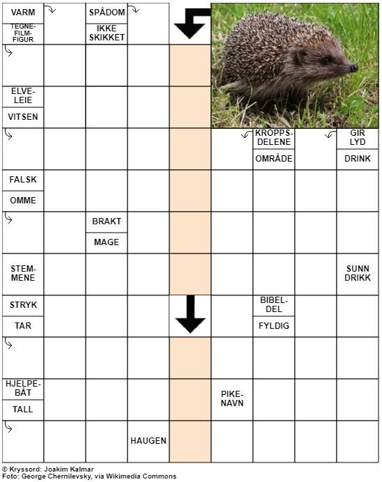 Dagens kryssord – 14. Mai- 2021