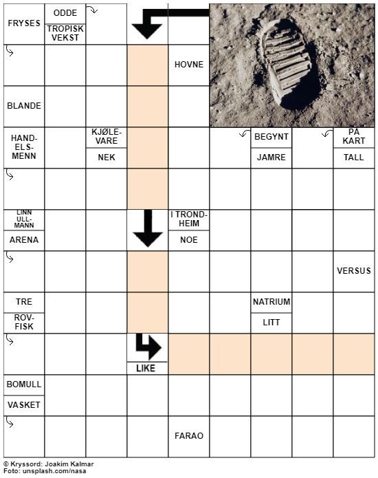 Dagens kryssord – 20. Mai- 2021