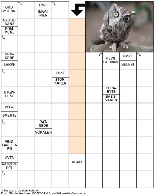 Dagens kryssord – 28. Mai - 2021