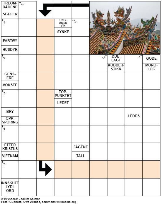 Dagens kryssord – 1. Juli - 2021