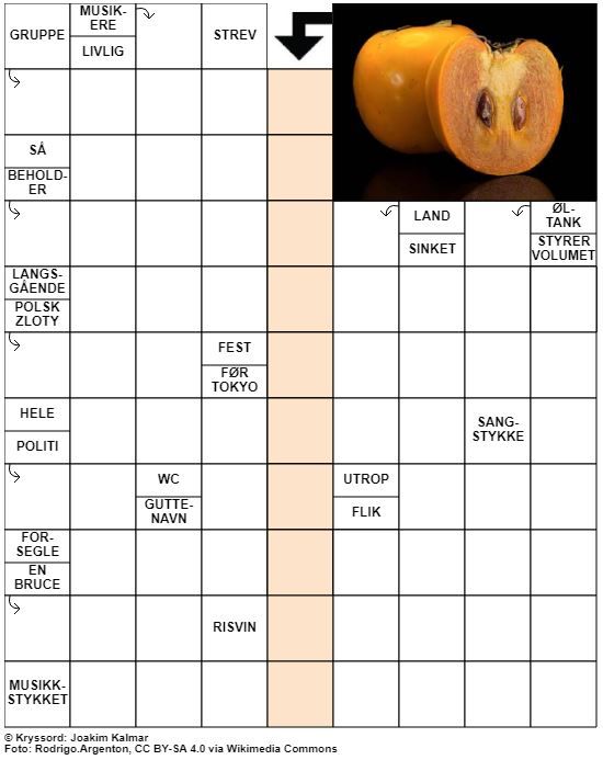 Dagens kryssord – 4. Juni - 2021