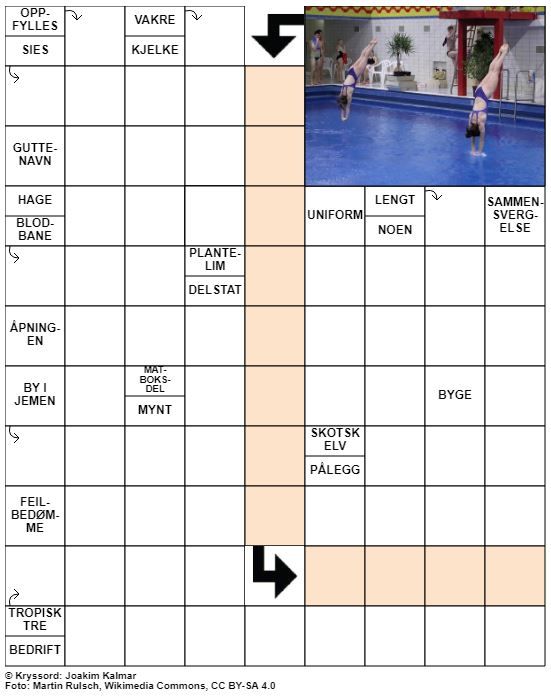 Dagens kryssord – 10. Juni - 2021