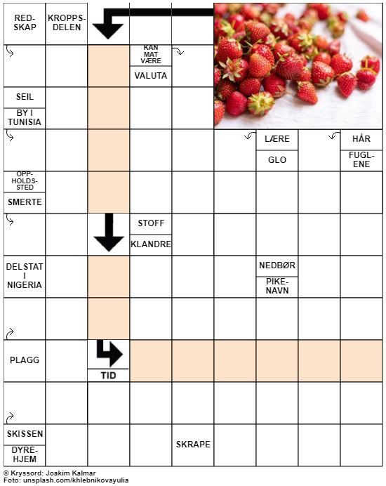 Dagens kryssord – 13. Juni - 2021