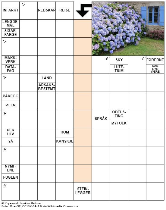 Dagens kryssord – 15. Juni - 2021