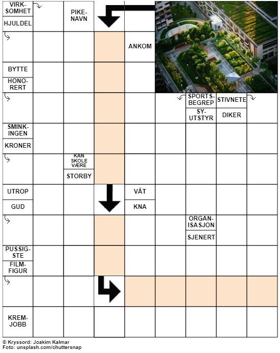 Dagens kryssord – 21. Juni - 2021